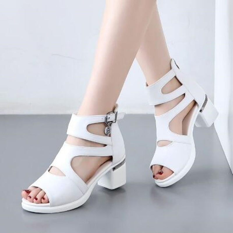 47044673962285|47044673995053|47044674027821|47044674060589|47044674093357|47044674191661|47044674289965